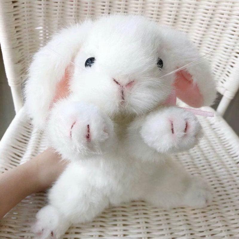 Stuffed bunnies deals that look real