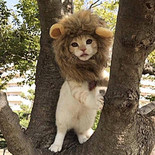 Hilarious and Funny Cat Lion Mane Plush - Plushie Depot