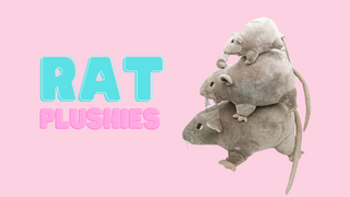 Rat Plushies: From Cute and Cuddly to Surprisingly Popular