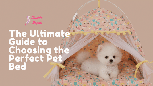 The Ultimate Guide to Choosing the Perfect Pet Bed