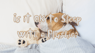 Is it OK to Sleep with a Plushie? - Plushie Depot