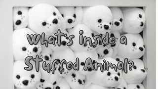 What's Inside a Stuffed Animal? - Plushie Depot