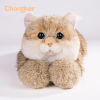 Golden British Shorthair Cat Plush