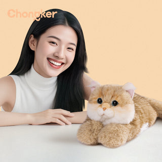 Golden British Shorthair Cat Plush