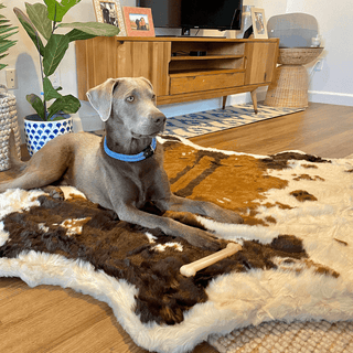 PupRug™ Animal Print Memory Foam Dog Bed - Brown Faux Cowhide | Plushie Depot