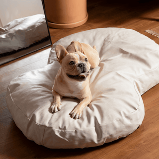 PupCloud™ Faux Leather Memory Foam Dog Bed - Cream Plushie Depot