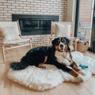 PupRug by Paw.com™ Faux Fur Orthopedic Dog Bed - Curve Polar White