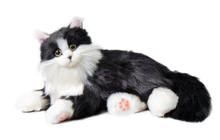 Percy Robot Cat – Voice,Purring & Heartbeat for Comfort