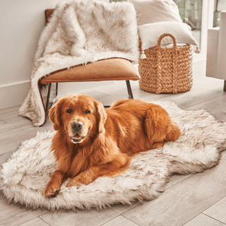 PupRug by Paw.com™ Faux Fur Orthopedic Dog Bed - Curve White with Brown Accents | Plushie Depot