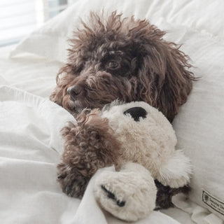 Fur Elise Koko Plush Toy - Maxi