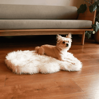 PupRug by Paw.com™ Faux Fur Orthopedic Dog Bed - Curve White with Brown Accents Small (30" L x 20" W)