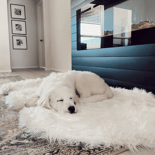 PupRug by Paw.com™ Faux Fur Orthopedic Dog Bed - Curve Polar White | Plushie Depot