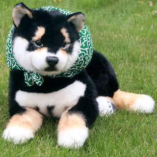 Black Shiba Inu Dog