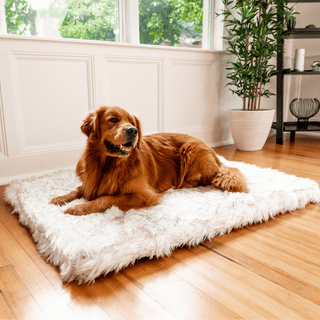 PupRug™ Faux Fur Orthopedic Dog Bed - Rectangle White with Brown Accents Medium (40" L x 30" W) | Plushie Depot