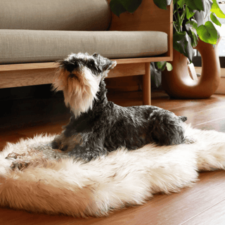 PupRug by Paw.com™ Faux Fur Orthopedic Dog Bed - Curve White with Brown Accents | Plushie Depot