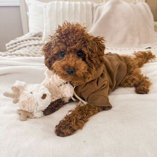 Fur Elise Vixi Plush Toy Set