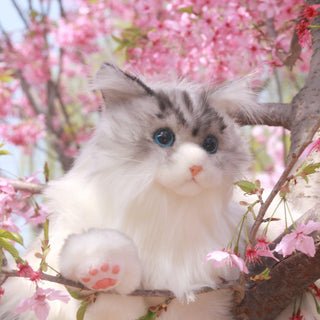 Tracy Weighted 3lbs –Relaxing Cat Toy Comfort Calming Plush