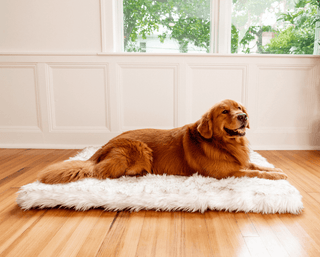 PupRug™ Faux Fur Orthopedic Dog Bed - Rectangle White with Brown Accents | Plushie Depot