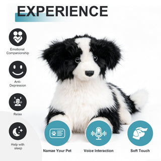 Percy Robot Cat - Interactive Emotional Support Pet Weighted Border Collie Percy 1.1