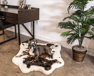 PupRug™ Animal Print Memory Foam Dog Bed - Brown Faux Cowhide | Plushie Depot