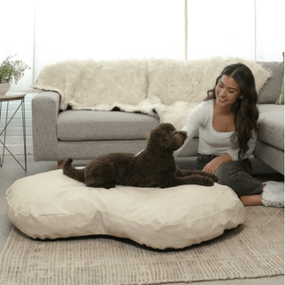 PupCloud™ Faux Leather Memory Foam Dog Bed - Cream Plushie Depot