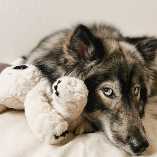 Fur Elise Koko Plush Toy - Maxi