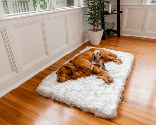 PupRug™ Faux Fur Orthopedic Dog Bed - Rectangle White with Brown Accents Large (50" L x 35" W) | Plushie Depot