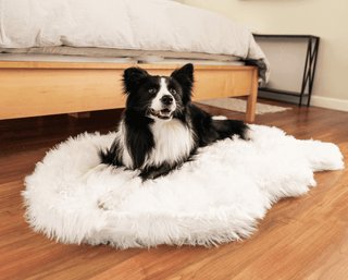 PupRug by Paw.com™ Faux Fur Orthopedic Dog Bed - Curve Polar White | Plushie Depot