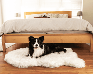 PupRug by Paw.com™ Faux Fur Orthopedic Dog Bed - Curve Polar White | Plushie Depot