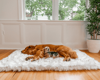 PupRug™ Faux Fur Orthopedic Dog Bed - Rectangle White with Brown Accents | Plushie Depot