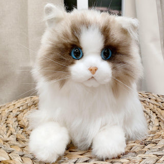 Ragdoll Weighted Plush – Realistic Cozy Calming Toy 3.0lb 1.4kg