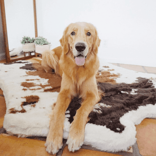 PupRug™ Animal Print Memory Foam Dog Bed - Brown Faux Cowhide | Plushie Depot