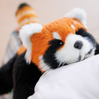 Red Panda Weighted Plush – Snuggle Toy for Stress Relief BPWILD-A0001