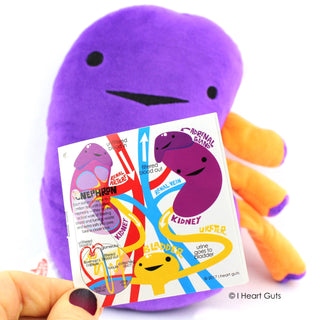 I Heart Guts - Kidney Plush - When Urine Love Plushie Depot