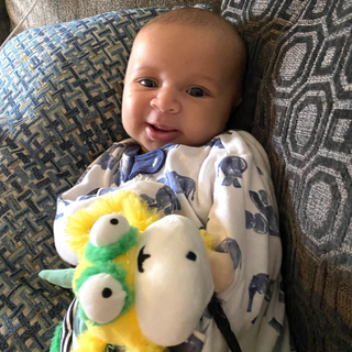 Marley the Horn Headed Monkey Spin Belly Hanging Activity Toy