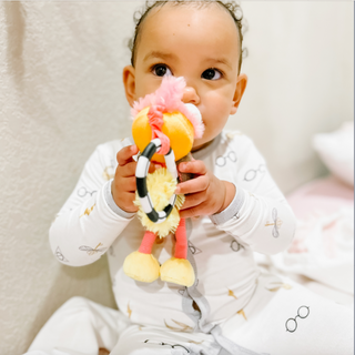 Ollie the Oddball Oddbird Chime & See Atachable Hanging Activity Toy