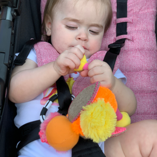 Ollie the Oddball Oddbird Chime & See Atachable Hanging Activity Toy