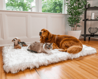 PupRug™ Faux Fur Orthopedic Dog Bed - Rectangle White with Brown Accents Giant (60" L x 40" W)