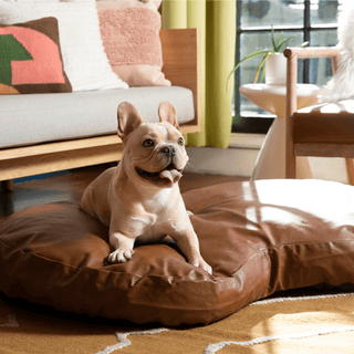 PupCloud™ Faux Leather Memory Foam Dog Bed - Bourbon Plushie Depot