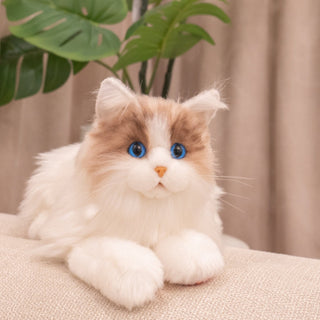 Ragdoll Weighted Plush – Realistic Cozy Calming Toy 1.1lb 0.5kg