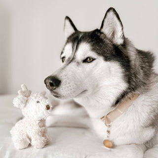 Fur Elise Vixi Plush Toy - Mini