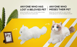 Custom Backpack (Long Hair Cat Only)