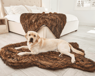 PupRug by Paw.com™ Faux Fur Orthopedic Dog Bed - Curve Brown | Plushie Depot