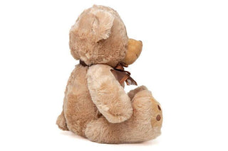 Brown Plush Teddy Bear - Stuffed Animal 11.81"