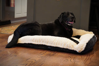 Scout Perfect Bolster Dog Bed