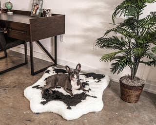 PupRug™ Animal Print Memory Foam Dog Bed - Black Faux Cowhide | Plushie Depot