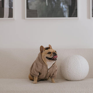 Frenchie Dog Hoodie - Frenchie Wellness Club