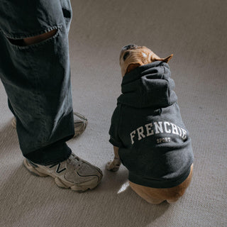 Frenchie Dog Hoodie - Frenchie Sport | Plushie Depot