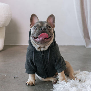 Frenchie Dog Hoodie - Frenchie Sport | Plushie Depot