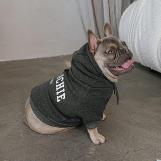 Frenchie Dog Hoodie - Frenchie Sport